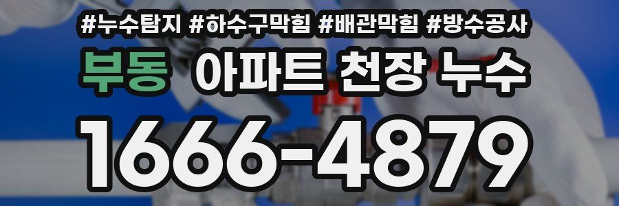 부동 아파트 천장 누수