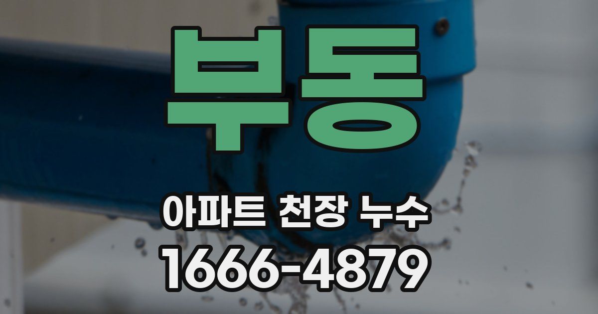 부동 아파트 천장 누수