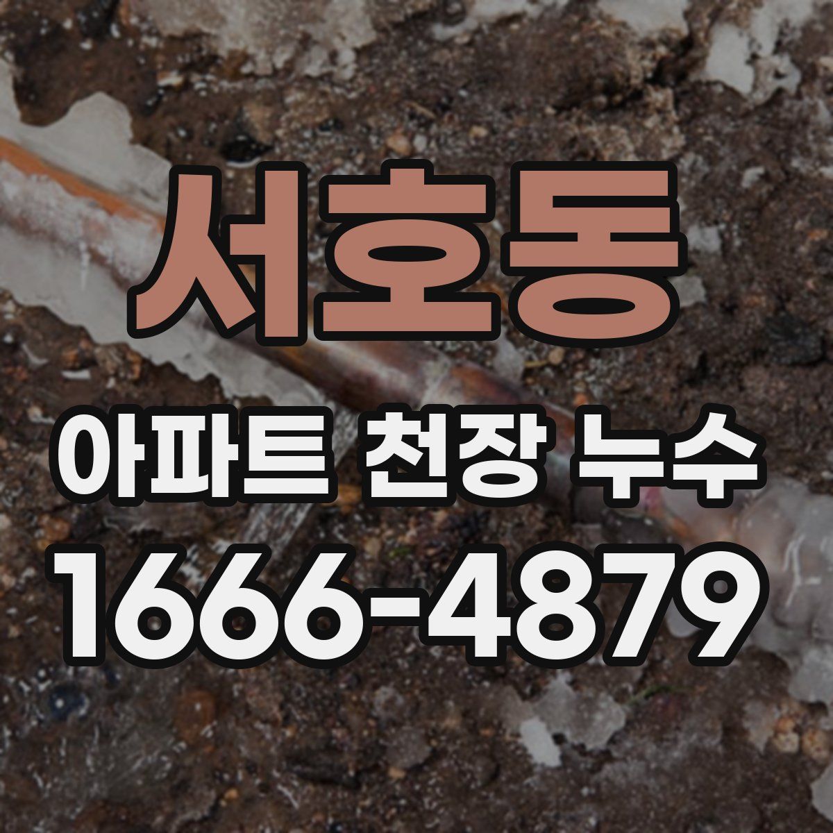 서호동 아파트 천장 누수