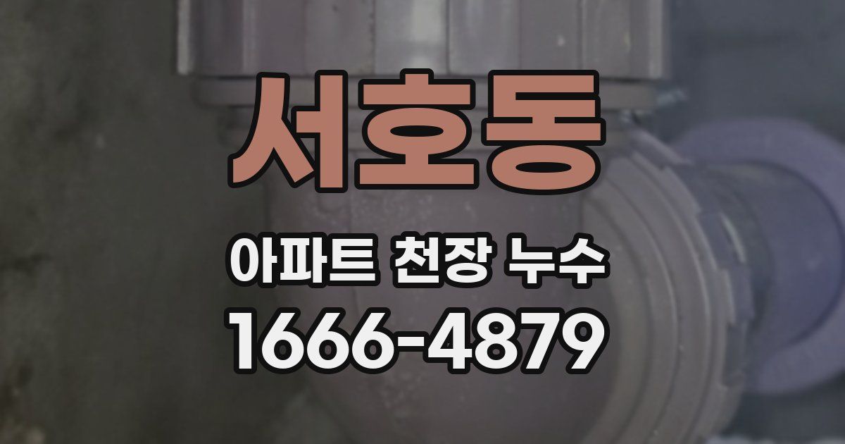 서호동 아파트 천장 누수