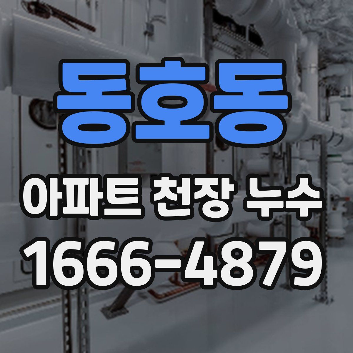 동호동 아파트 천장 누수