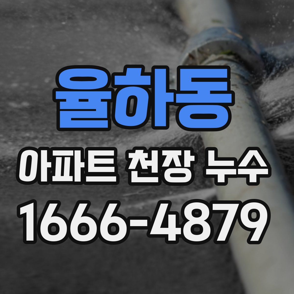율하동 아파트 천장 누수