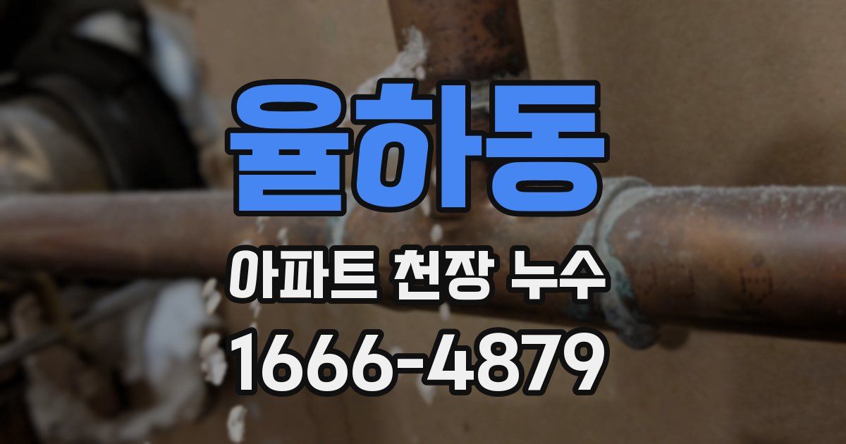 율하동 아파트 천장 누수