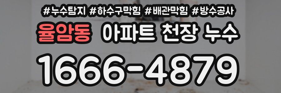 율암동 아파트 천장 누수
