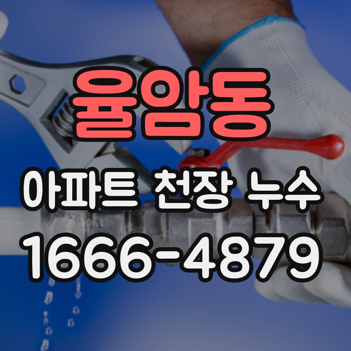 율암동 아파트 천장 누수