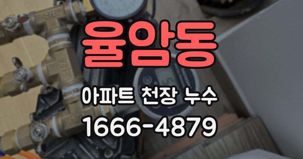 율암동 아파트 천장 누수