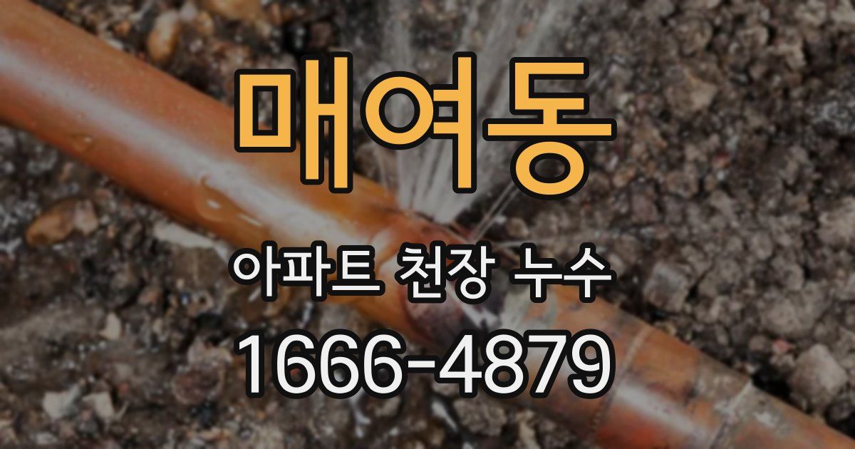 매여동 아파트 천장 누수