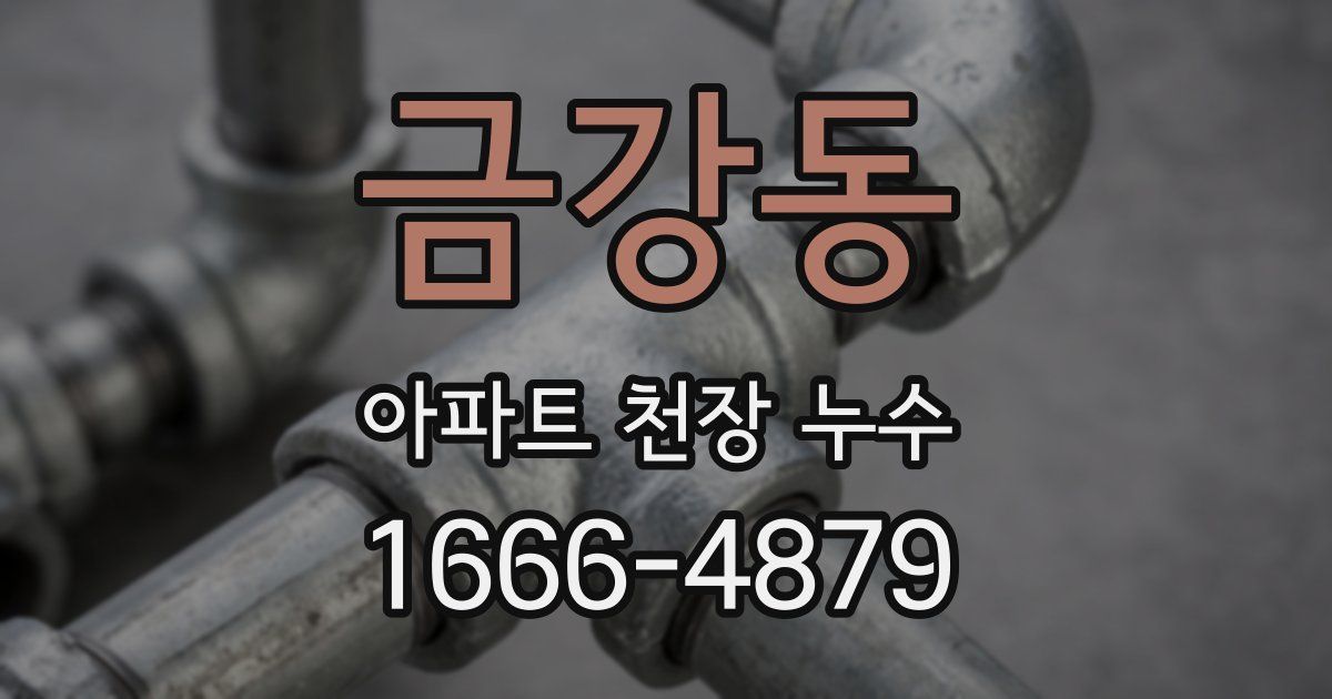 금강동 아파트 천장 누수