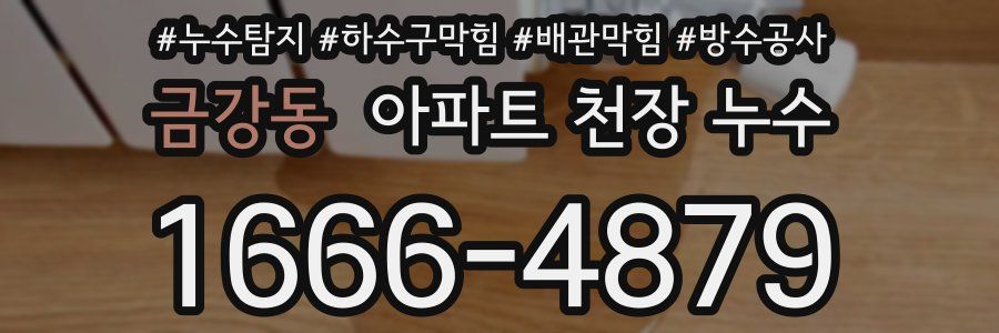 금강동 아파트 천장 누수