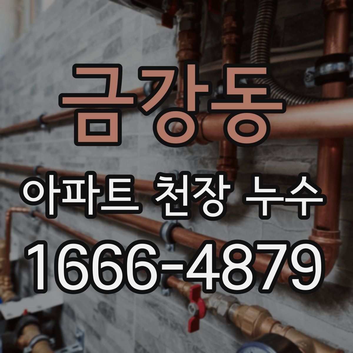 금강동 아파트 천장 누수