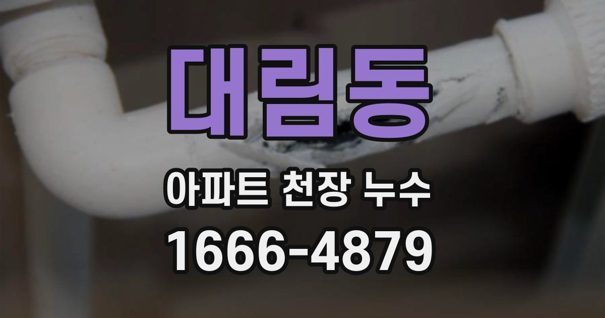 대림동 아파트 천장 누수