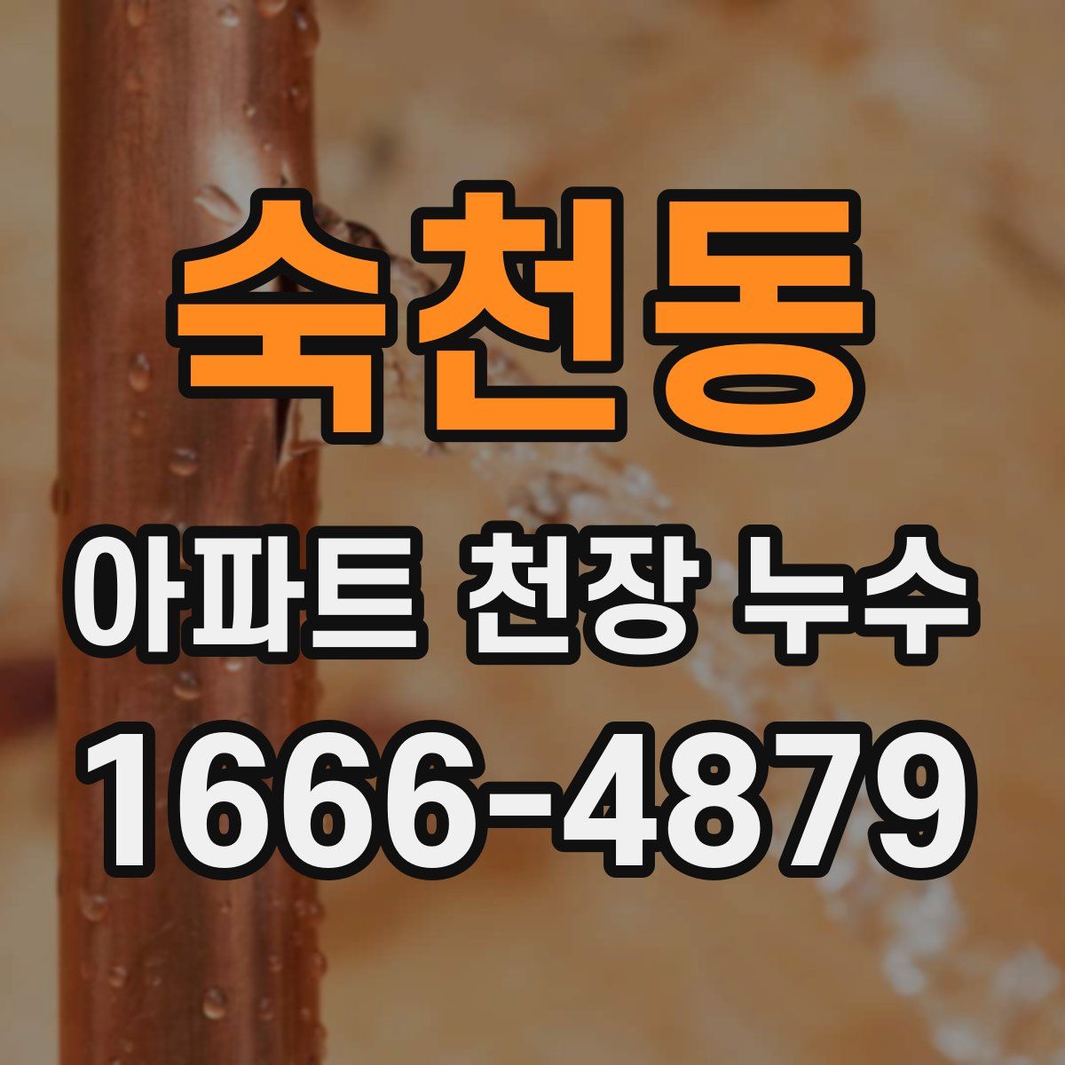 숙천동 아파트 천장 누수