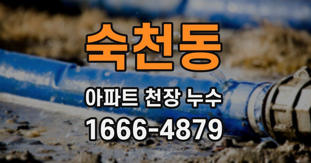 숙천동 아파트 천장 누수