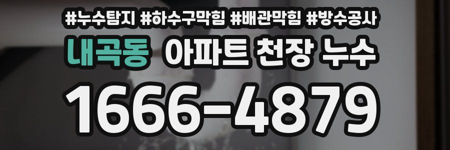 내곡동 아파트 천장 누수