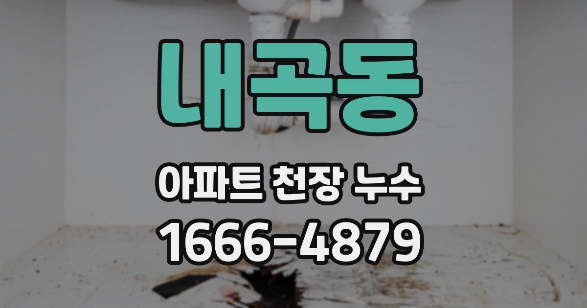 내곡동 아파트 천장 누수