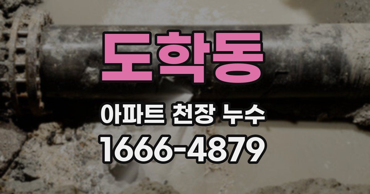 도학동 아파트 천장 누수