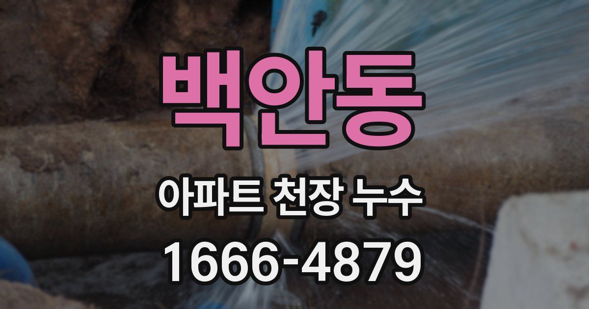 백안동 아파트 천장 누수