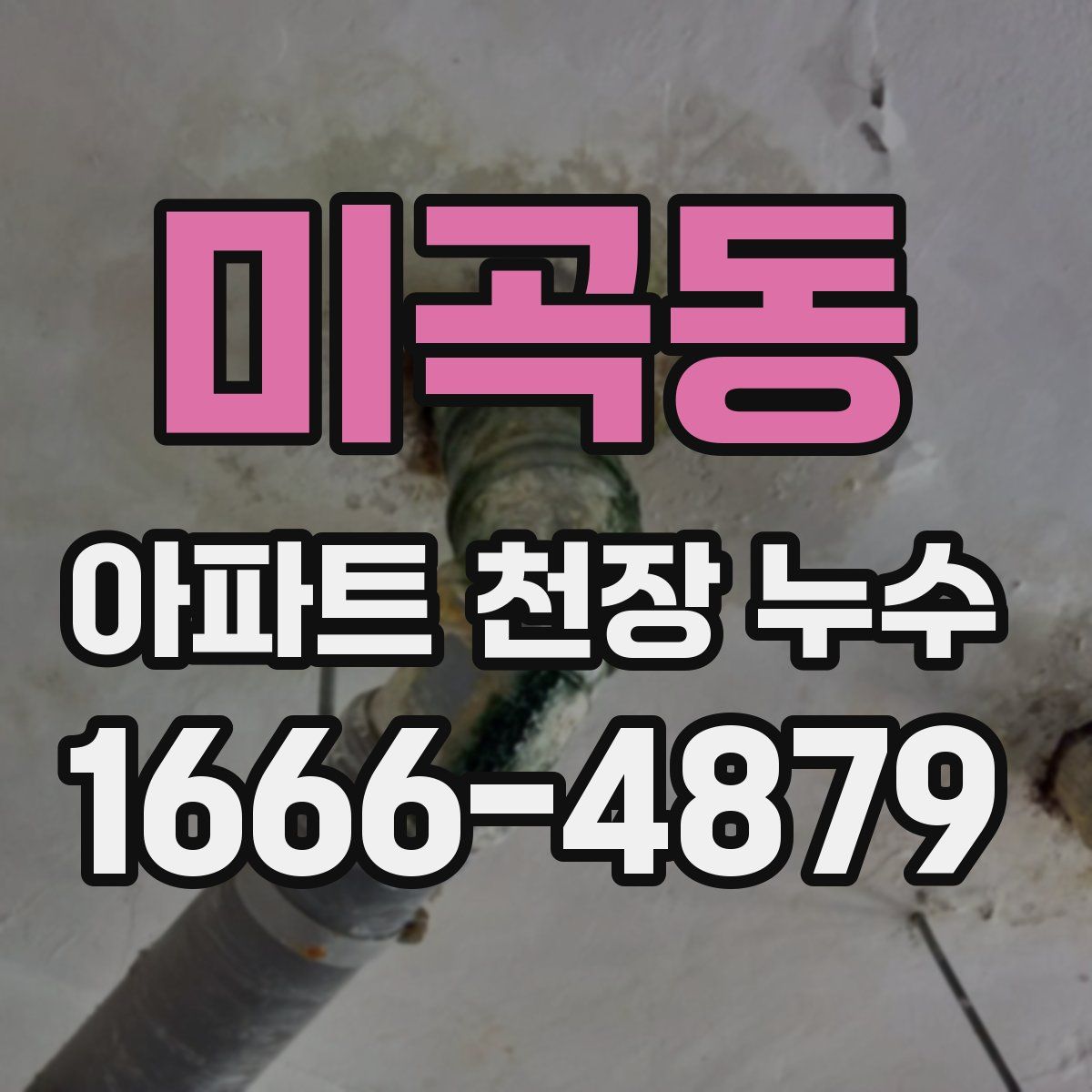 미곡동 아파트 천장 누수