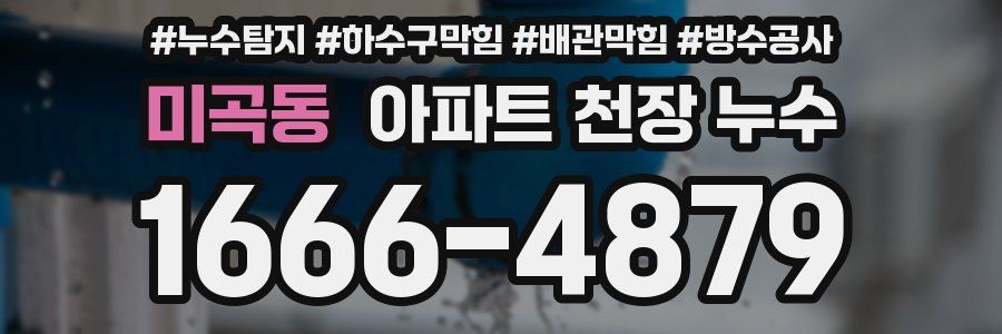 미곡동 아파트 천장 누수