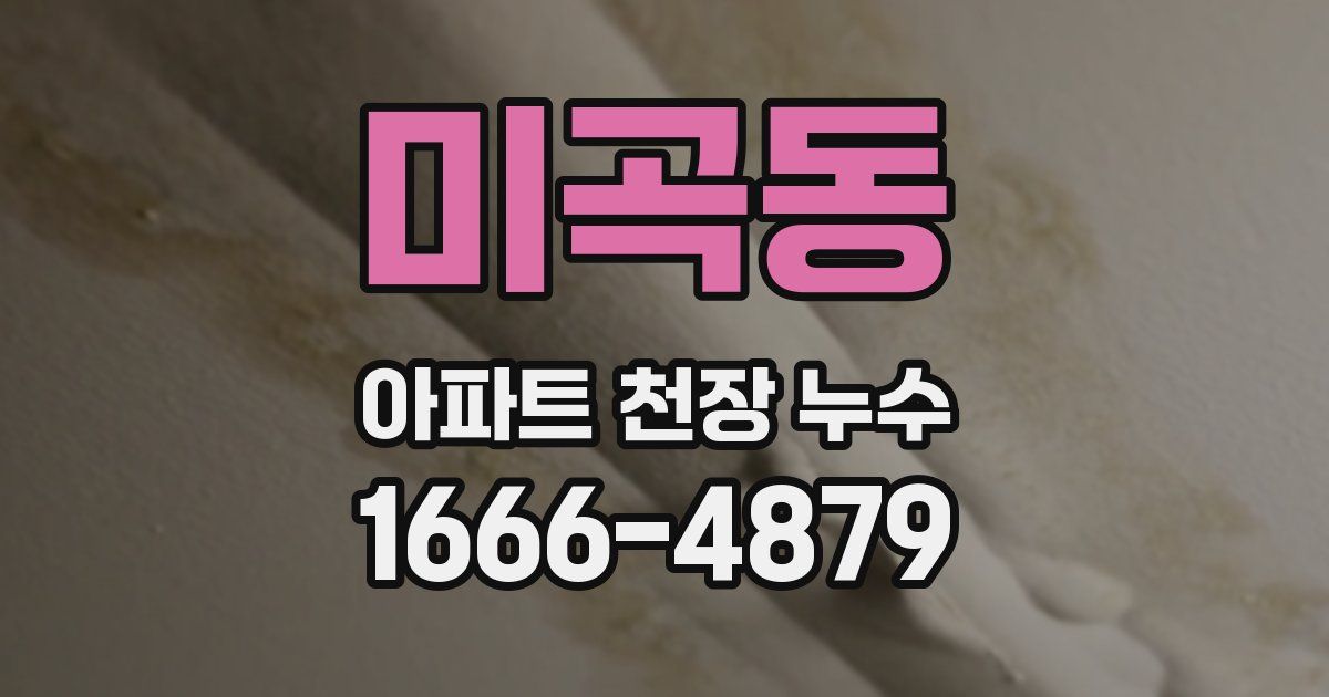 미곡동 아파트 천장 누수