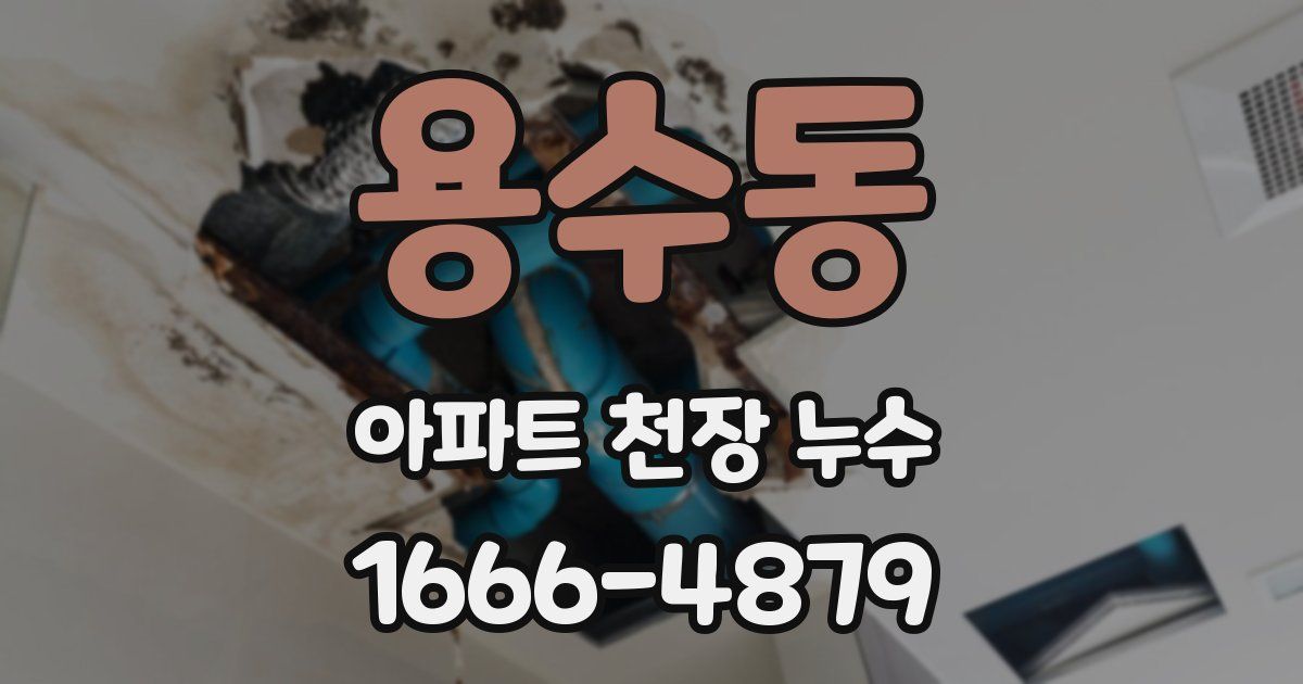 용수동 아파트 천장 누수