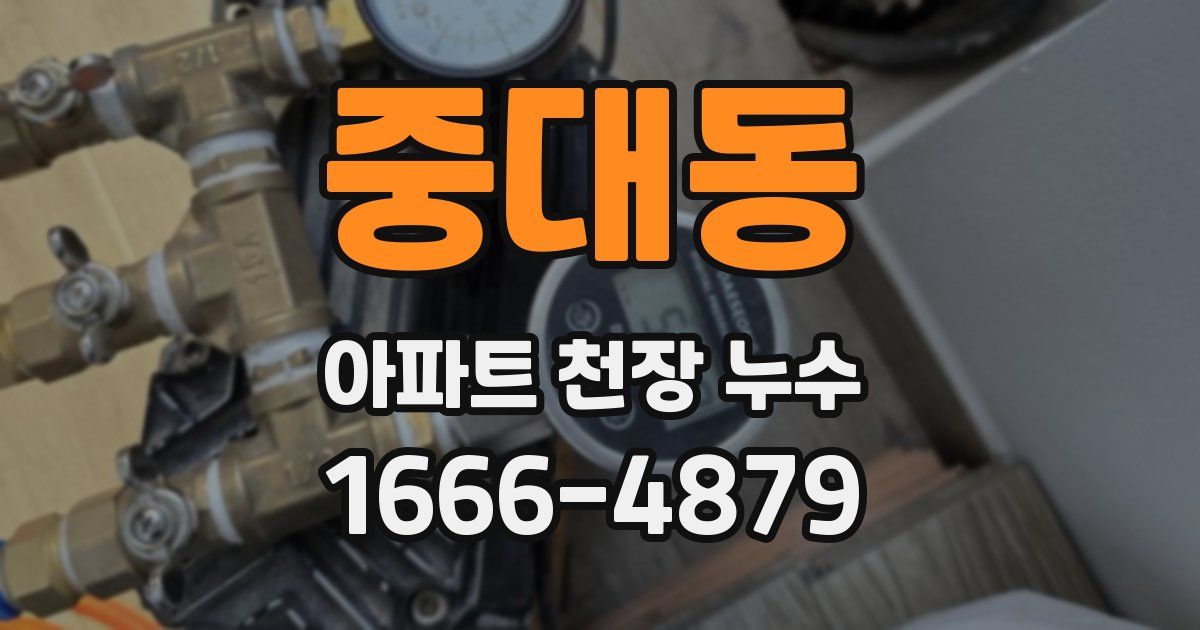 중대동 아파트 천장 누수