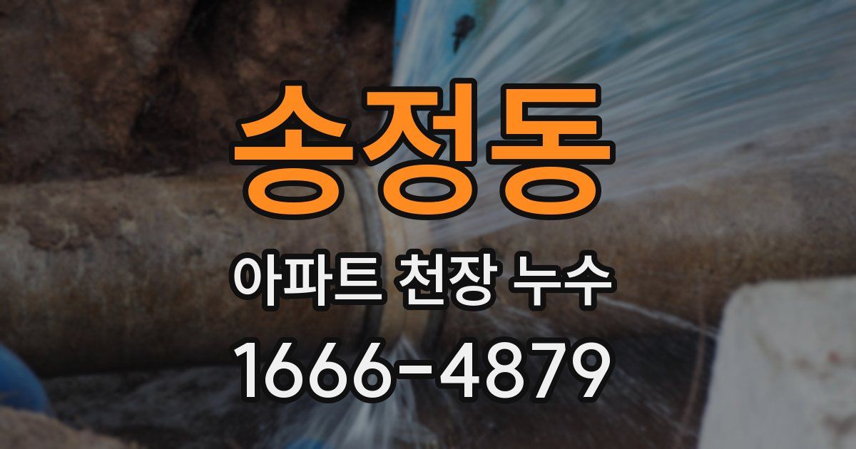 송정동 아파트 천장 누수