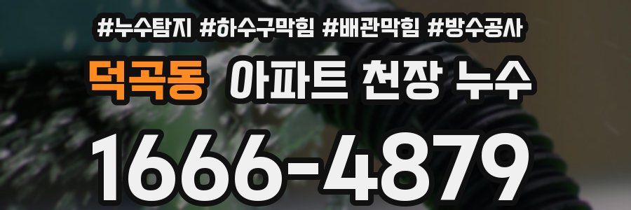 덕곡동 아파트 천장 누수