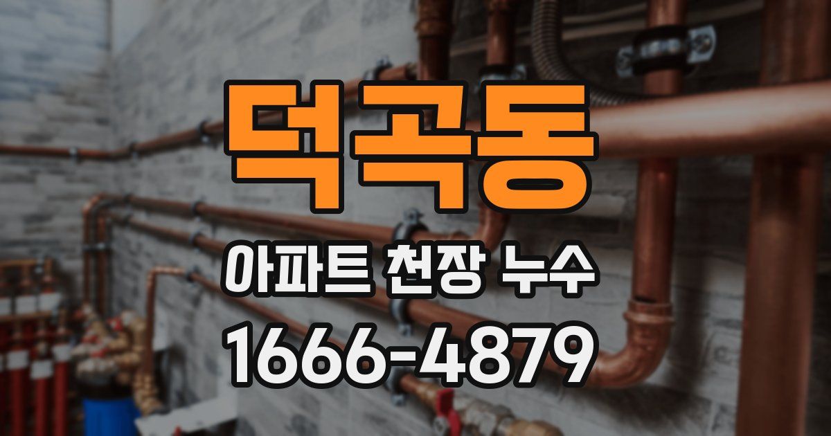 덕곡동 아파트 천장 누수