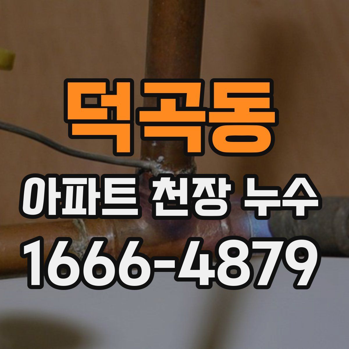 덕곡동 아파트 천장 누수
