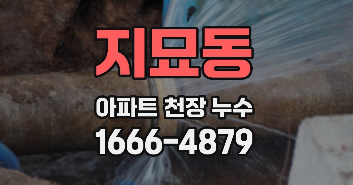 지묘동 아파트 천장 누수