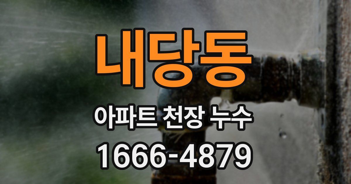 내당동 아파트 천장 누수