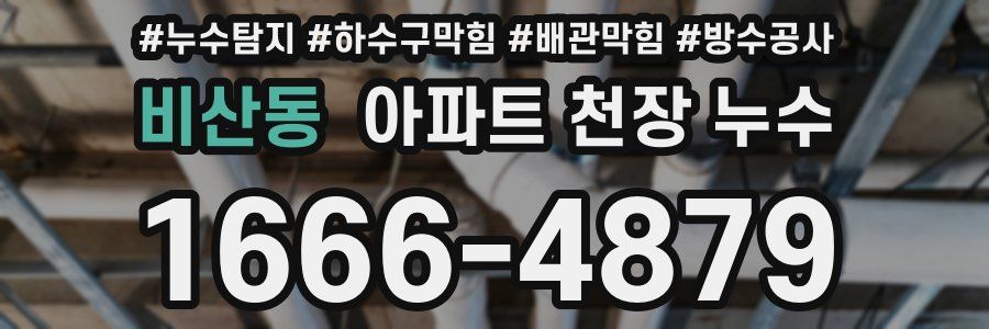 비산동 아파트 천장 누수