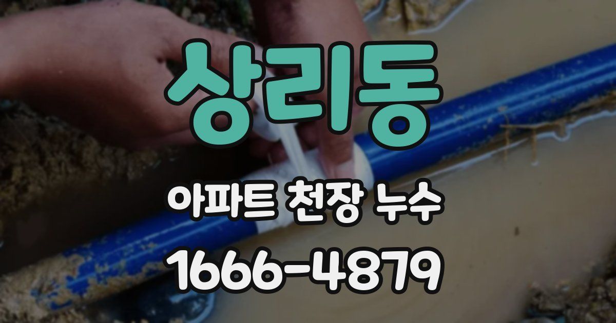상리동 아파트 천장 누수