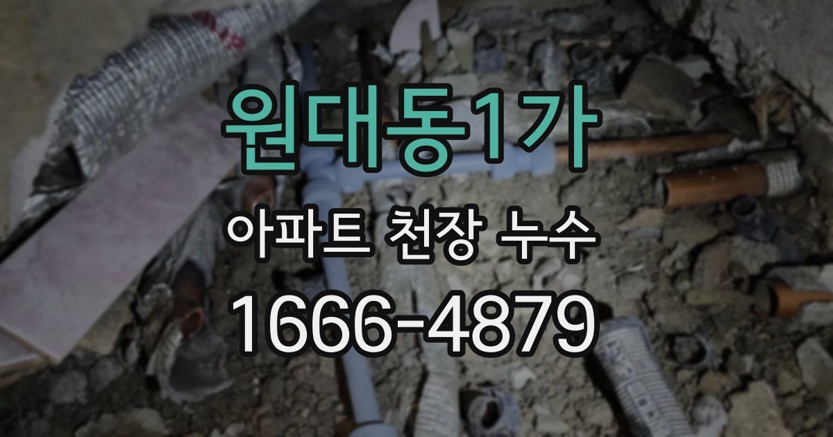 원대동1가 아파트 천장 누수