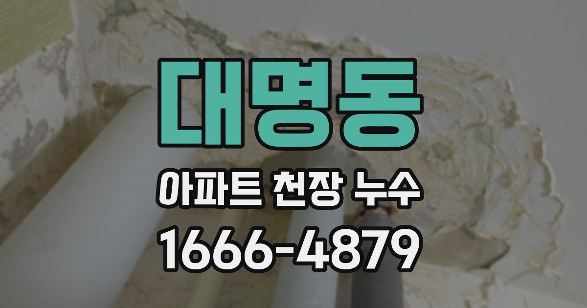 대명동 아파트 천장 누수