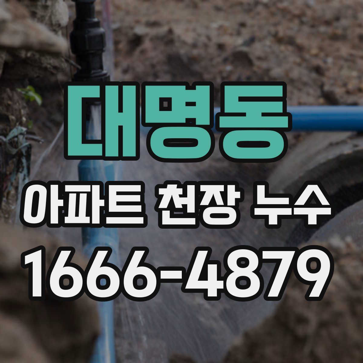 대명동 아파트 천장 누수