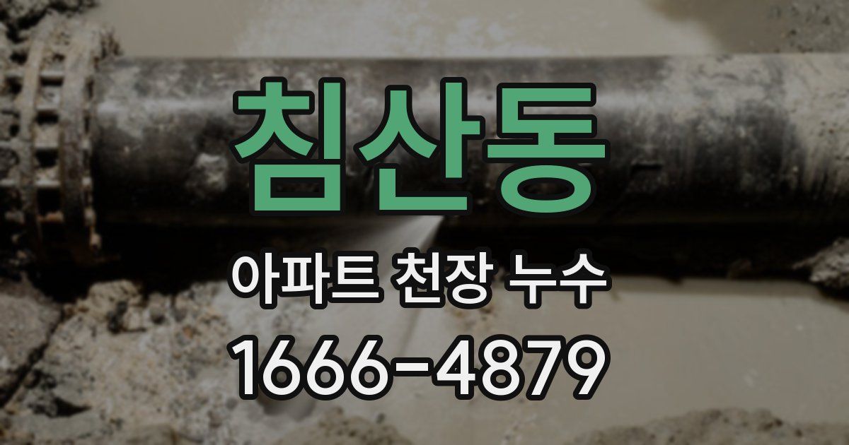 침산동 아파트 천장 누수