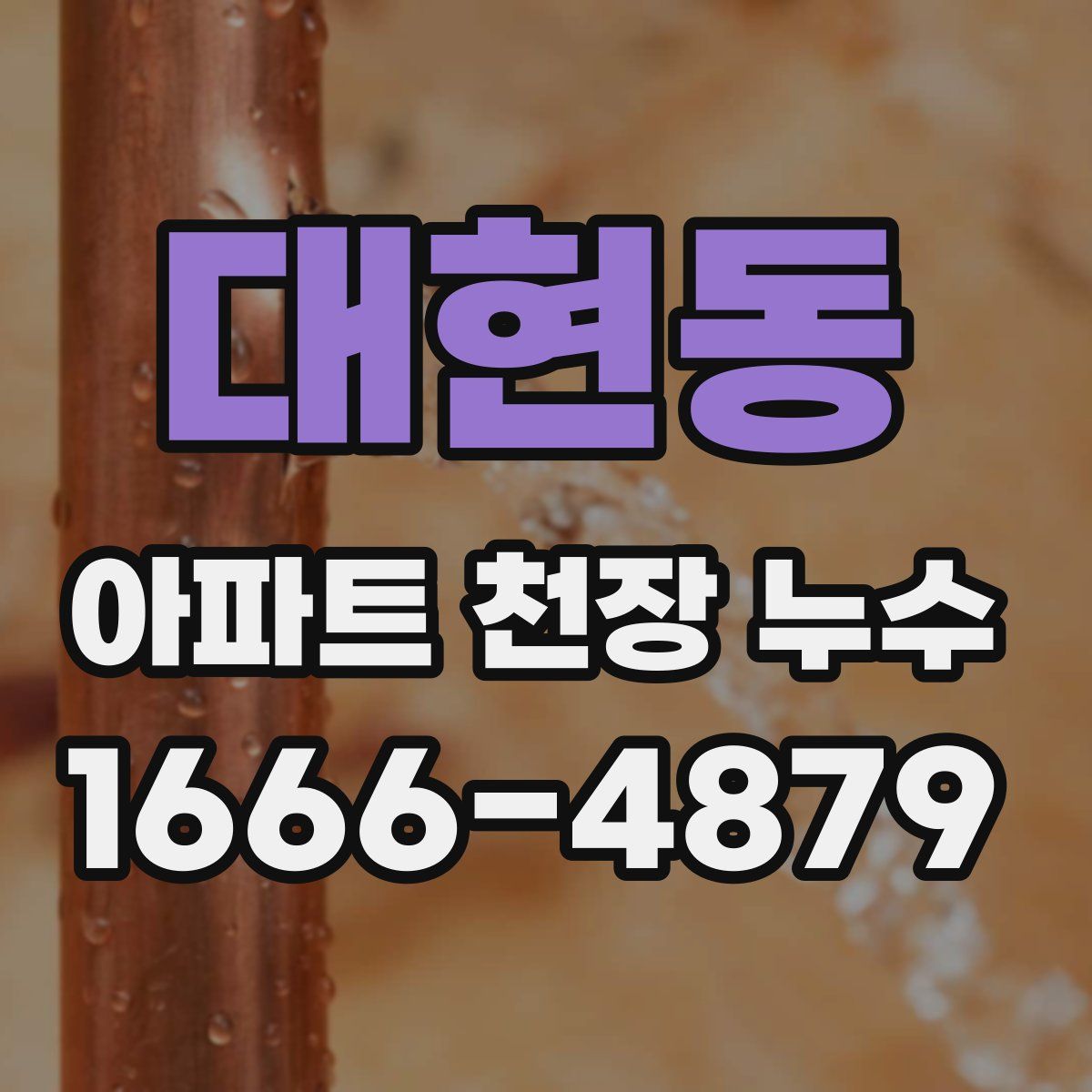 대현동 아파트 천장 누수