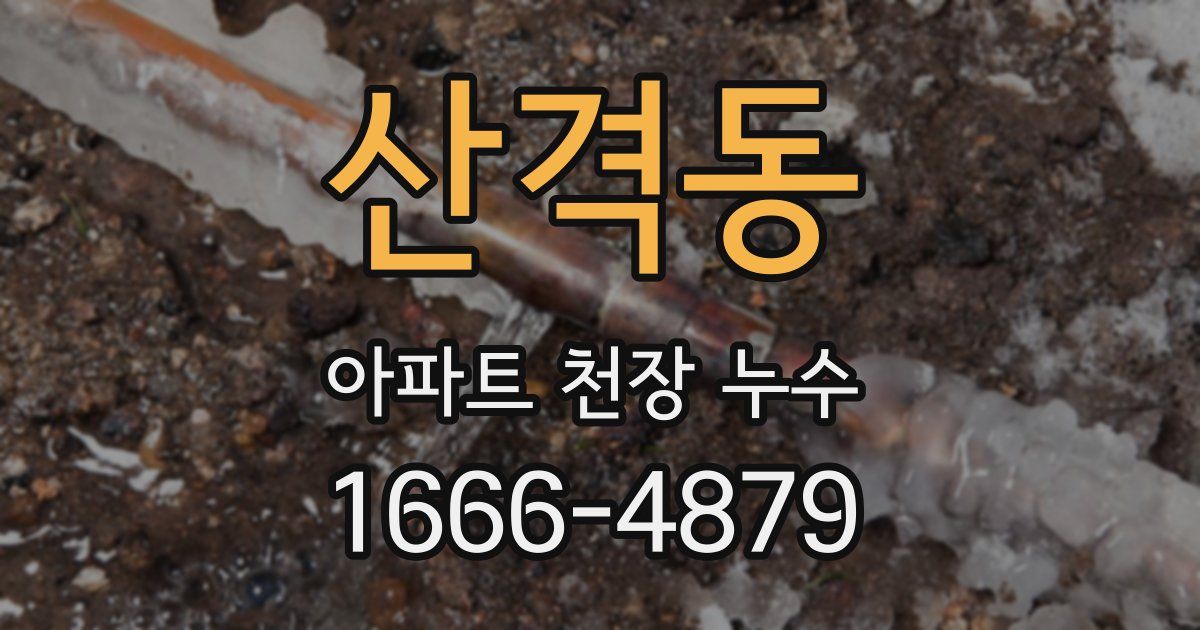 산격동 아파트 천장 누수