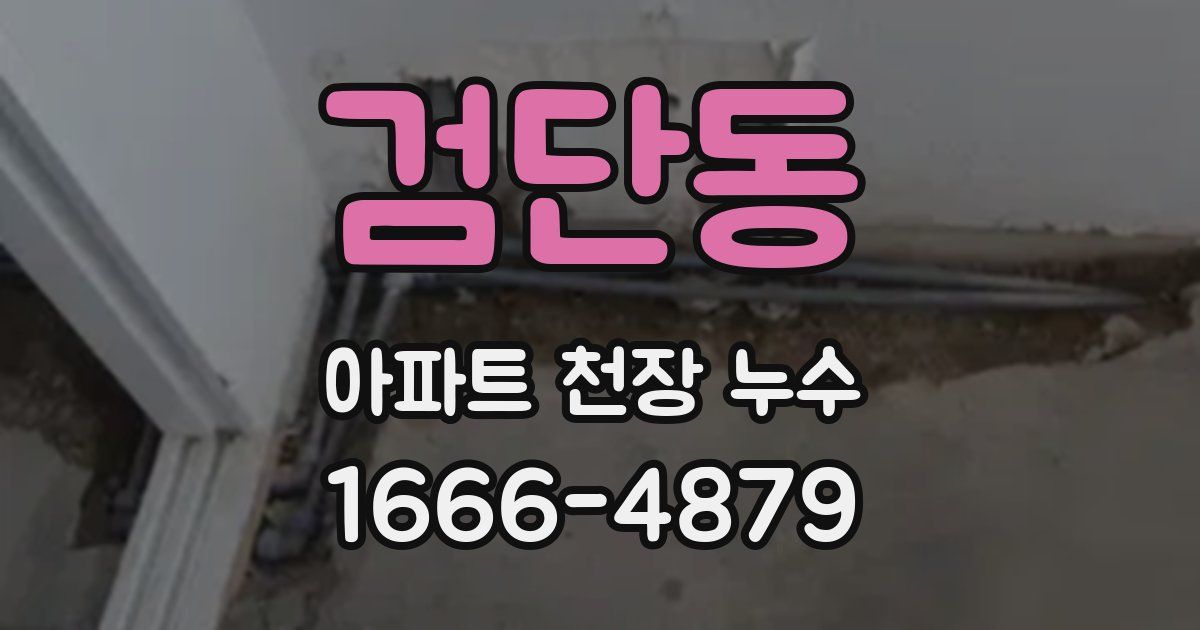 검단동 아파트 천장 누수