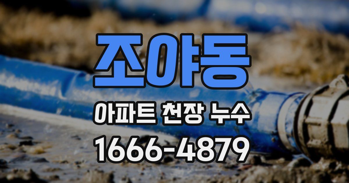 조야동 아파트 천장 누수