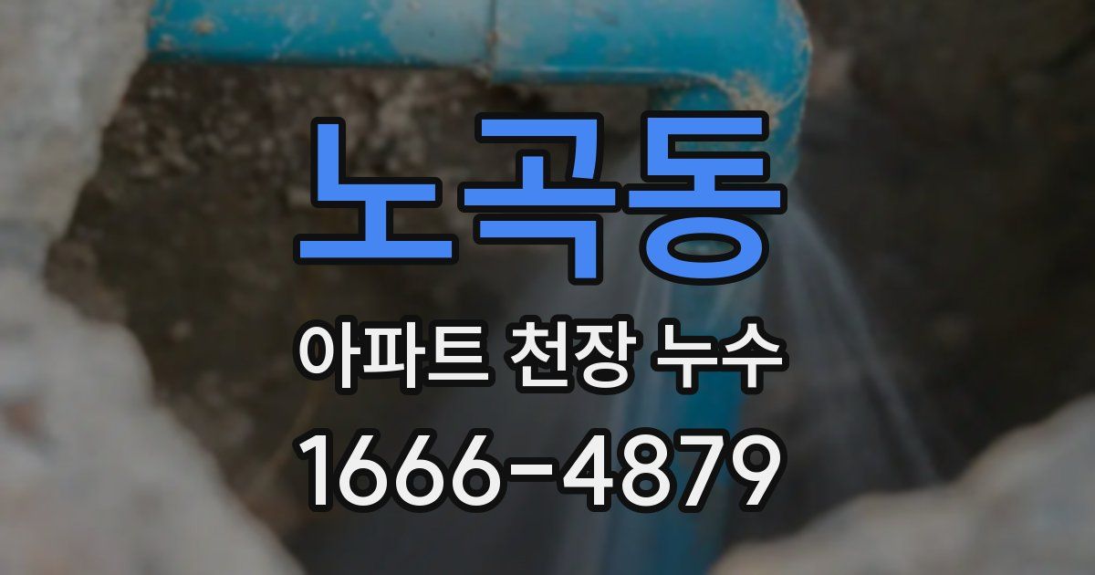 노곡동 아파트 천장 누수