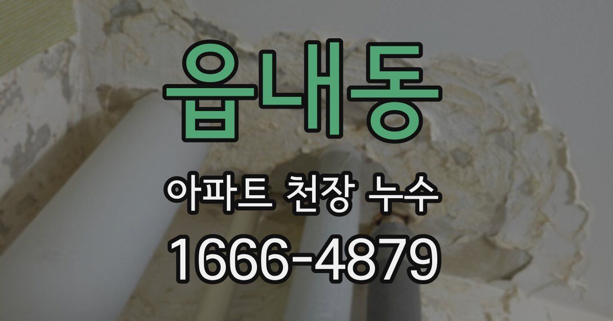 읍내동 아파트 천장 누수
