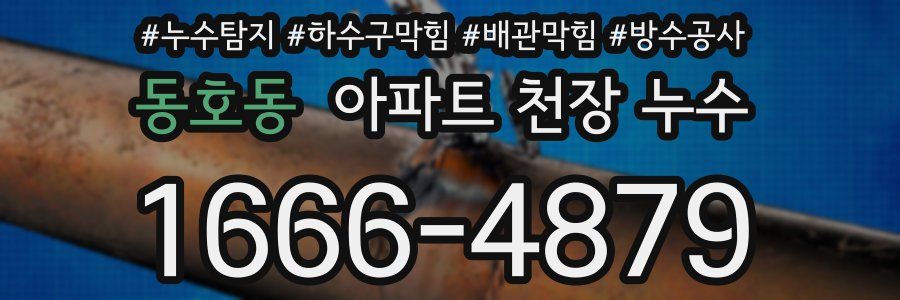 동호동 아파트 천장 누수