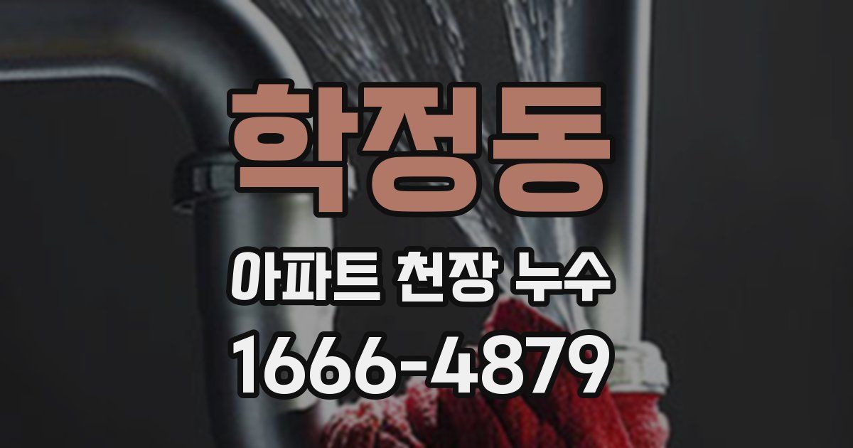 학정동 아파트 천장 누수