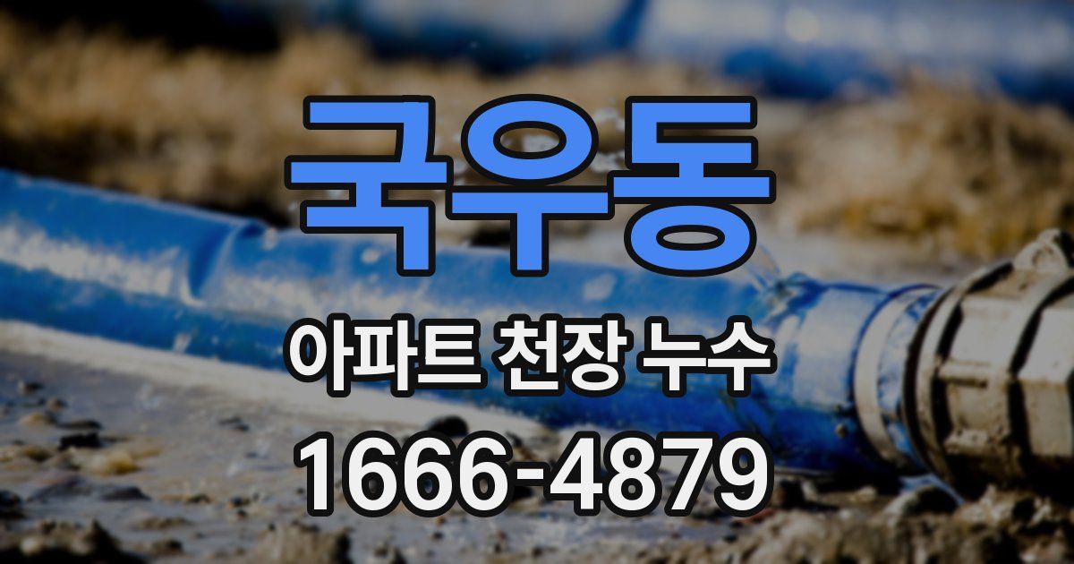국우동 아파트 천장 누수