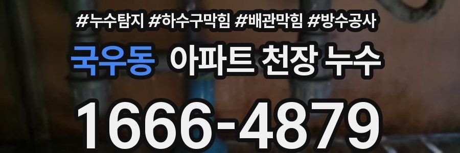 국우동 아파트 천장 누수