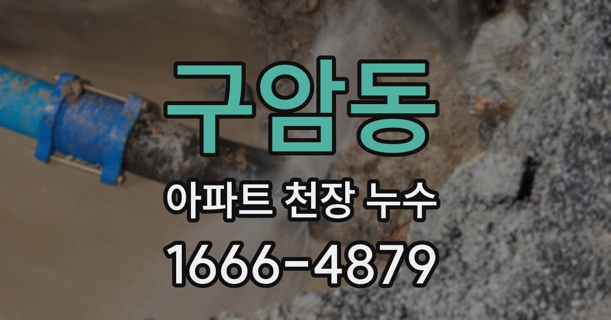 구암동 아파트 천장 누수