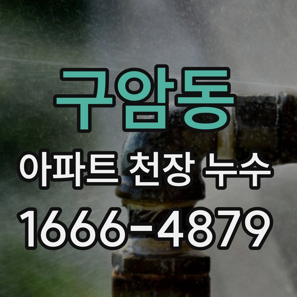 구암동 아파트 천장 누수